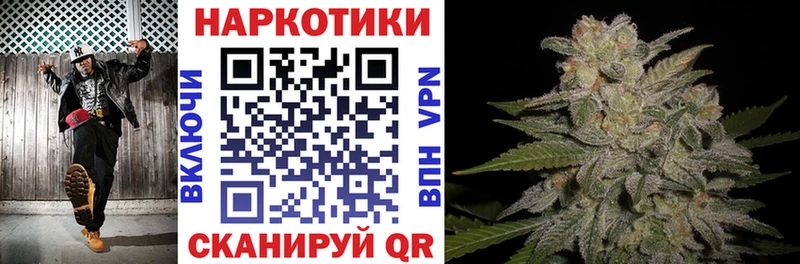 Где купить наркотики Приозерск АМФ  Меф  ГАШИШ  Cocaine  Бутират  СОЛЬ  Галлюциногенные грибы 