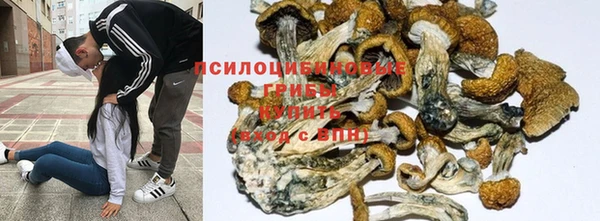 синтетический гашиш Кодинск